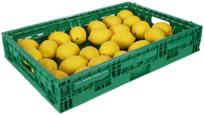 A photo of Shoptek Fruit & Veg Displays